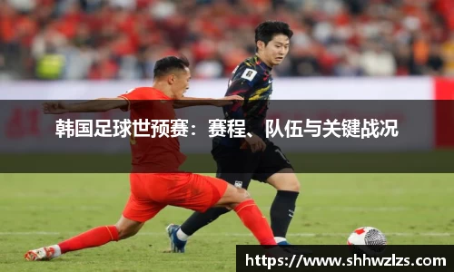 韩国足球世预赛：赛程、队伍与关键战况